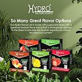 Hydro Herbal Hookah Shisha - [50g X 10 PACK] [500g] - Fruit Lovers Mix - [Premium Flavor - Tobacco, Nicotine Free] Party Mix X2