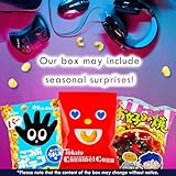 SHOGUN CANDY, 40 Pcs Japanese Snacks and Japanese Candy, Popin Cookin Japanese Snack Box, Kawaii Dagashi Box, (TSUKUYOMI Mystery BOX)