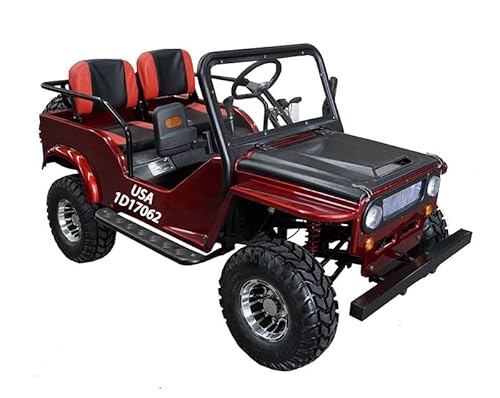 HHH Adults and Youth VITACCI GR2-125cc Go Kart with 3-Speed Semi-Automatic with Reverse and Big 18 inch Aluminium Rim Wheels RPS TK125JP (Red) - Extra Large