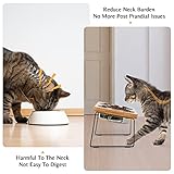 Elevated Cat Bowls for Food and Water - Loplurea 15° Tilted Raised Stainless Steel Cat Food Bowl with Bamboo Stand and Anti Vomit Feeding Station for Indoor Cats and Pet…