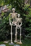 Crazy Bonez Pose-N-Stay Life Size 6 FT Skeleton with Realistic Posable and Movable Joints for Halloween Indoor and Outdoor Decoration