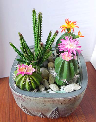 Artificial Flowers Set of 4 Three Different Succulents Plants Desert Cactus Realistic Flower Arrangements Craft Art Decor Plant for Indoor Outdoor Decoration