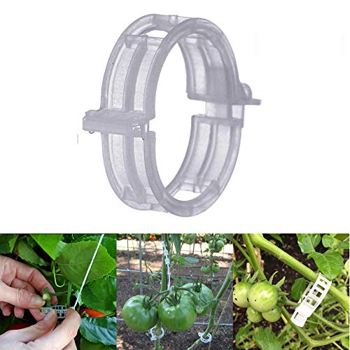 300 Pcs Tomato Trellis Clips, Tomato Vine Clips, Plant Support Garden Clips for Vine Vegetables to Grow Upright and Healthier