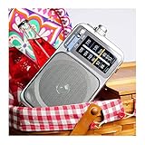 Panasonic Portable AM / FM Radio, Battery Operated Analog Radio, AC Powered, Silver (RF-2400D)