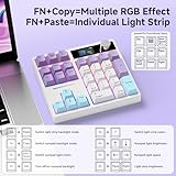 BOYI TD31Pro Mechanical Number Pad,Bluetooth5.0/2.4G/Type-C Wireless Numeric Keypad,RGB HotSwap Numpad with Screen&Knob,PBT Keycap Rechargeable Gasket Number keypad for PC Laptop Desktop(White-Purple)