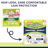 Hartz Disposable Dog Diapers, Size S 36 count, Comfortable & Secure Fit, Easy to Put On