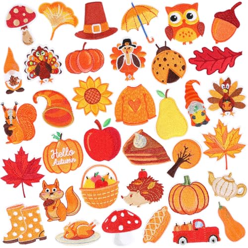 36pcs Fall Autumn Iron on Patches Thanksgiving Day Embroidered Sew Applique Repair Patch Fall Leaf Pumpkin Turkey Maple Leaves Gnome Acorn DIY Crafts for Clothing Jacket Jeans Pants Dress Backpack Hat