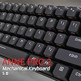 CORN Anne Pro 2 Mechanical Gaming Keyboard 60% True RGB Backlit - Wired/Wireless Bluetooth 5.0 PBT Type-c Up to 8 Hours Extended Battery Life, Full Keys Programmable (Cherry Mx Blue, Black)