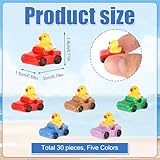 30pcs Mini Car Duck Set, Small Resin Duck in a Car Funny Miniature Resin Ducks Micro Landscape Duck Mini Ducks Tiny Animal Car Dashboard Decor for Home Car Office Decor(Mixed Colors)