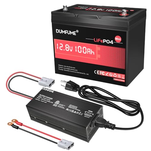 12V 100Ah Mini LiFePO4 Battery with 14.6V 20A Lithium Battery Charger, Built in 100A BMS, 1.28kWh Energy for Solar/RV/Marine/Trolling Motor