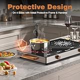 Disaenvir 2 Burner Electric Cooktop 110V - 24 Inch Countertop Electric Stove with Handles 2000W, Two Burner Ceramic Burner with LCD Touch Screen and Knob Control, Timer, Safety Lock, 120V Plug in