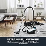 Eureka Canister Vacuum Cleaner, Lightweight Vacuum Cleaner for Carpets and Hard Floors, NEN170 Pet Friendly vaccum Cleaner with with HEPA Filter and 4 dust Bags, Silver with Green