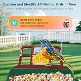 Smart Bird Feeder with Camera, 5200mAh Battery with Solar Panel, 2K Live View/AI Identifies/App Control/Instant Arrival Alert/Auto Capture/135° Motion Detection/IP65 Waterproof, Ideal Gift, Red Green