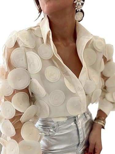 UOOZEE Women's Long Sleeve Dressy Casual Blouse Button Down Sheer Polka Dot Cocktail Party Tops Shirts, Apricot, XXL