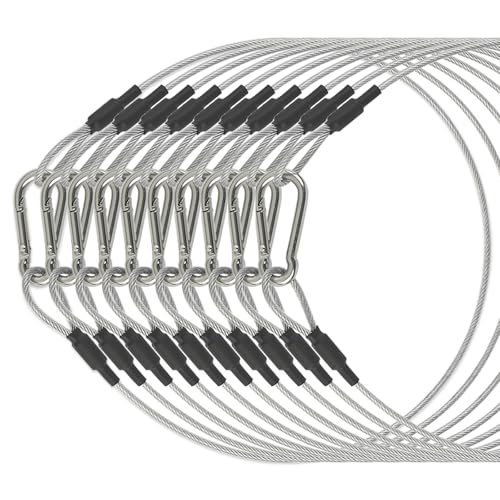 LAICCUM 10 Pack 1/8" Safety Cables 2ft Security Cable 304 Stainless Steel Wire Ropes with Carabiner Lock 50lb Load Capacity Falling Prevention for DJ Stage Light Luggage