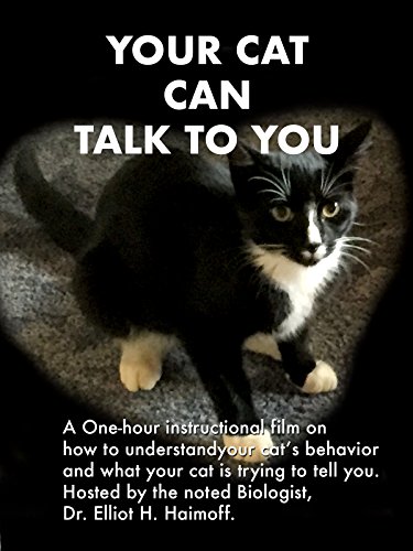 Your cat can talk