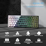 Womier Q61 60% Percent Keyboard with QMK/VIA Topographic Gaming Keyboard, Wireless Creamy Mechanical Keyboard, RGB Custom Gasket Hot Swappable for Windows & Mac-POM Linear Switch