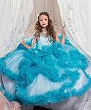 Stunning V-Back Luxury Pageant Tulle Ball Gowns for Girls 2-12 Year Old Blue,Size 12