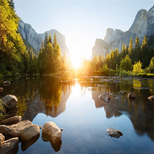 AOFOTO 10x10ft Nature Mountain Forest Backdrop Valley Sunrise Landscape Photography Background Pine Tree River Natural Park Lake Scenic Outdoor Hiking Camping Vinyl Wallpaper Portrait Photoshoot Prop