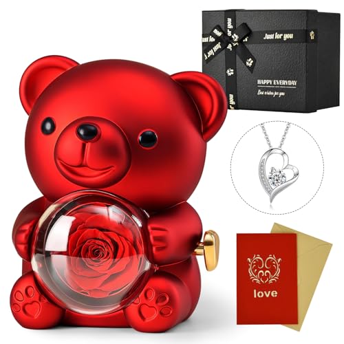 Jibeufi Teddy Bear with Preserved Rose, Flower Forever in Bear with Necklace and Elegant Gift Box for Women, Romantic Bear Roses Gifts for Valentines Mothers Day Anniversary Day Birthday (Red)