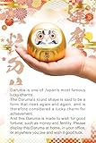 Lucky Shop Golden Feng Shui Decor, Daruma Doll for Money Fortune and Prosperity, Blessed at Japanese Shrine for Good Luck, 3.75×3.75×3.75 inches Ceramic Japan Original