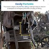 Etekcity Camping Lanterns for Power Outages 4 Pack, Flashlight for Camping Essentials, Emergency Led Battery Operated Lights, Survival Kit and Gear for Hurricane, Black