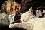 Miyoko Ihara: Misao the Big Mama and Fukumaru the Cat (Japanese Edition)