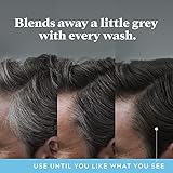 3x Just for Men Control GX Grey Reducing Shampoo