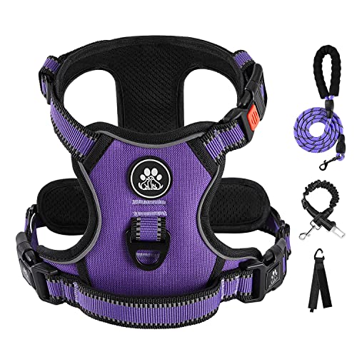 IVY&LANE No Pull Dog Harness for Small Dogs, Dog Vest Harness with Leash, Safety Belt and Storage Strap, Fully Adjustable Harness, 360° Reflective Strip, Soft Handle (Purple, XS)