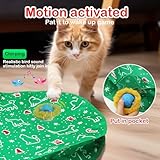 Giociv Interactive Cat Toys Ball Fast Rolling in Pocket, Motion Activate Chirping Cat Toy Hide and Seek Mouse Catching Game