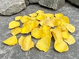 Rose Petals for Wedding Decoration, Bridal Toss, and Aisles, 10 cups, Freeze Dried, Use within 1 month (Yellow)