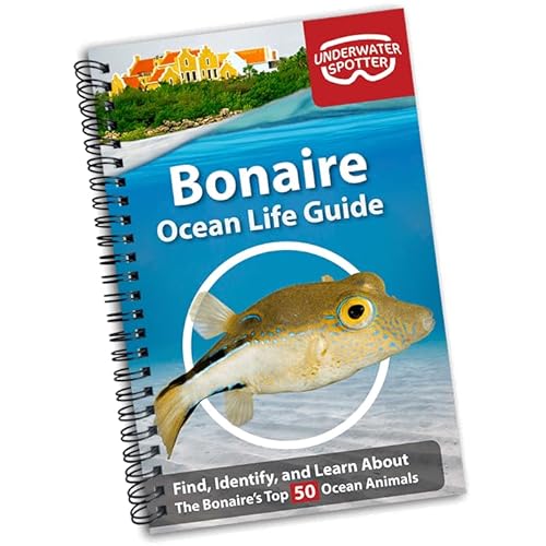 Bonaire Ocean Life Guide, Underwater Spotter Fish Identification Book For Scuba Divers, Snorkelers and Kids, 50 Fish Species and Marine Animals Scavenger Hunt for Beginners