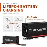 LiTime LiFePO4 Battery 12V 100Ah Built-in 100A BMS 4000-15000 Cycles for RV Solar Marine Overland Off-Grid Application(14.6V20A LiFePO4 Charger Included)