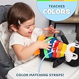 Buckle Toys Blizzard Penguin - Montessori Learning Activity & Stuffed Animal - Develop Motor Skills, Problem Solving, Counting & Color Recognition