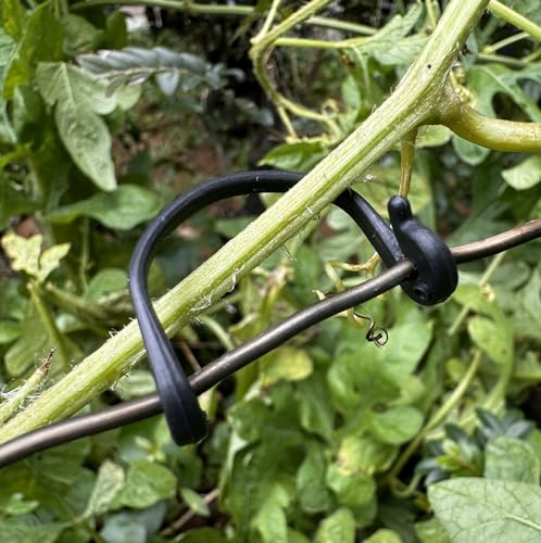 300PCS Grape Vine Trellis - Organize Support Raspberry Canes Grape Vne Support Grapevines Kiwi Grape Stem Vine Clips Grape Ties Garden Plant Support Clips Holder Fruit Buckles Hooks Training Grow Ties