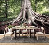 Modern Peel and Stick Wall Mural Wallpaper Roots Large Beech Tree Self Adhesive Removable Wall Stickers for Living Room Bedroom TV Background 100"x144"