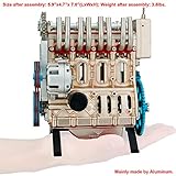 DjuiinoStar Vehicle Engine Model Assembly Kit (300+ Pieces Components, 5 Hours Assembly Time), Four-Stroke Straight-Four Gas Engine Working Model, 4 Cylinder Engine Kit DM13-1