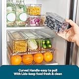 Luckore 10 Pack Clear Fridge Organizer, Stackable Refrigerator Organizer Bins with Lids, Fridge Storage Containers for Kitchen, Food, Cabinets, Fruits, Vegetables, Cereals