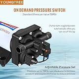 YOUNGTREE Electric Water Transfer Pump 110V AC 5.5GPM 70PSI, 110 Volt Water Pressure Diaphragm Booster Pump On Demand for Home Garden Irrigation Car Washing Rain Barrel Pool Drainage