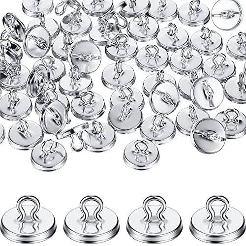 WILLBOND 80 Pieces Plant Anchors for Trellis Plant Vine Wall Fixture Clips Hooks Anchor Vine and Wall Climbing Supplies