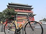 Bamboo Bicycle Frame - Custom Built