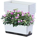 Oliz Window Box Planter 8 Pcs, 17 Inches Rectangle Flower Pots with Drainage Holes and Trays, Vegetable Planters for Windowsill Patio Garden Balcony Home Porch Yard Indoor Outdoor (White)