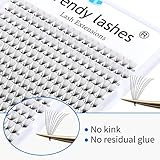 WENDY Lash Extension Premade Fans Eyelash Extensions 320PCS Pre Made Fans Lash Extensions 10D Lashes Extension 0.07mm C Curl Promades Eyelash Fans Mixed 9-16mm(10D-0.07-C, 9-16mm Mixed Tray)