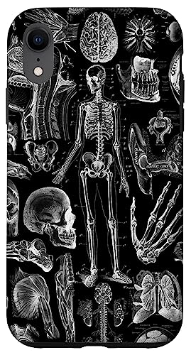 iPhone XR Human Anatomy Black Print Case