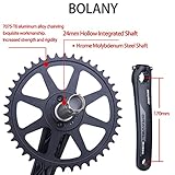 BOLANY Bike Cranksets Gravel 170mm Hollow Integrated 42T Single Chainring Direct Mount with Bottom Bracket Fit for Off Road Bike Crankset Compatible with 10/11speed (170mm-42T)