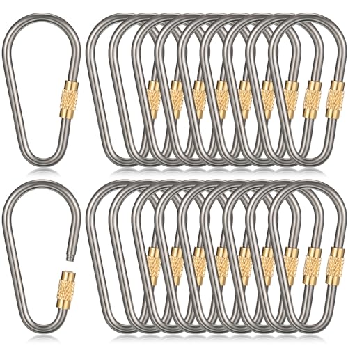 Skylety 10 Pieces Mini Titanium Locking Clips D-Ring Locking Snap Keychain Keyring Screw Lock Buckle for Outdoor Indoor Dog Tags Use, Lightweight and Sturdy