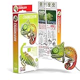 Eugy Chameleon 3D Puzzle, 31 Piece Eco-Friendly Educational Toy Puzzles for Boys, Girls & Kids Ages 6+