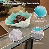 Large Turquoise-Aqua blue Sea Shells Decorative Bowl Resin Clam Shell Bowl Beach Decorations for Home Coastal Beach Decor Decoration Storage Bowls & Home Office Nautical Themed Party Decor -10.2-1PC