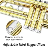 WUQIMUSC Standard Bb Trumpet Set for Beginners, Student Trumpet, Brass Trumpet Instrument, B Flat, with 7C Mouthpiece, Cleaning Cloth, Gloves and Hard Carrying Case (Golden)