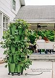 Greenstalk Patented Large 5 Tier Vertical Garden Planter with Patented Internal Watering System Great for Growing a Variety of Strawberries, Vegetables, Herbs, & Flowers (Evergreen)